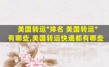 美国转运公司排名 美国转运公司有哪些,美国转运快递都有哪些